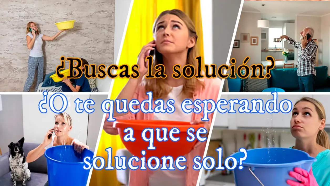 Empresa de humedades en Galicia